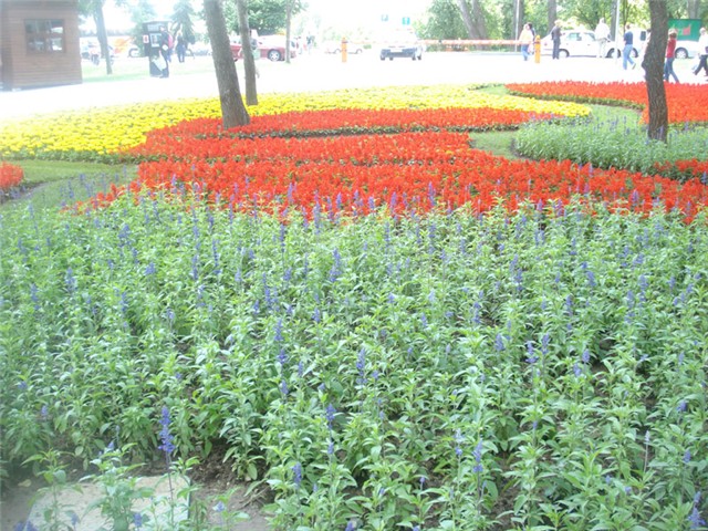 Flora Art Zagreb